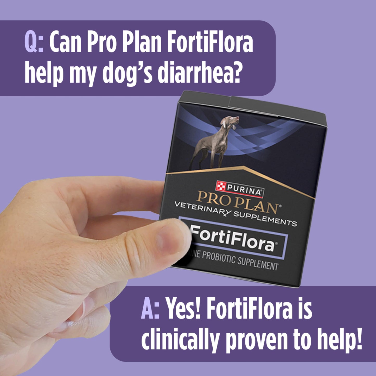 Purina - FortiFlora Canine Veterinary Diet, 30 Sobres por Caja