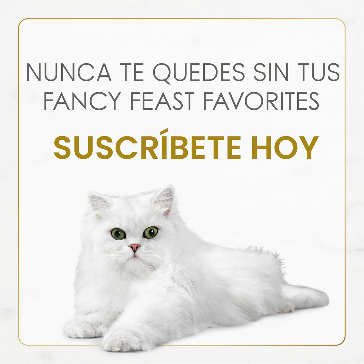 Purina Fancy Fiesta Medleys Toscana colección Gourmet húmedo Cat Food Variety Pack- (24) 90 ml latas