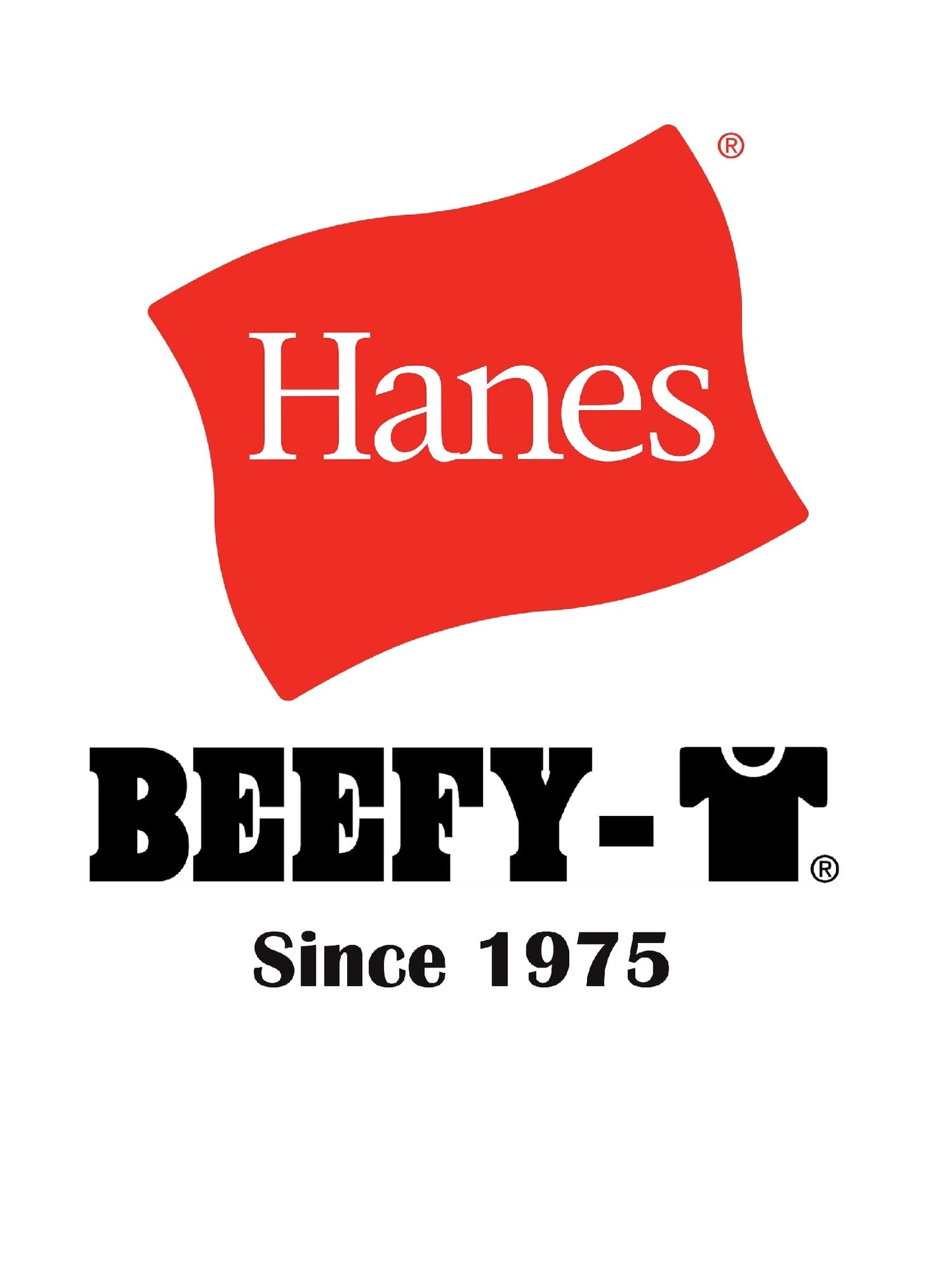 5180 HN 5180 6.1 OZ COTN BEEFY TEE BLACK L