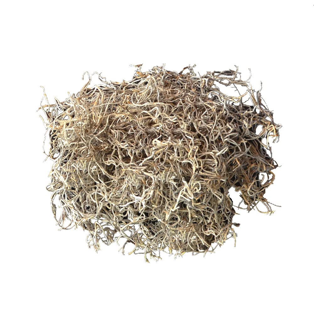 Mosser Lee ML0560 - Musgo español, 250 CU. In.