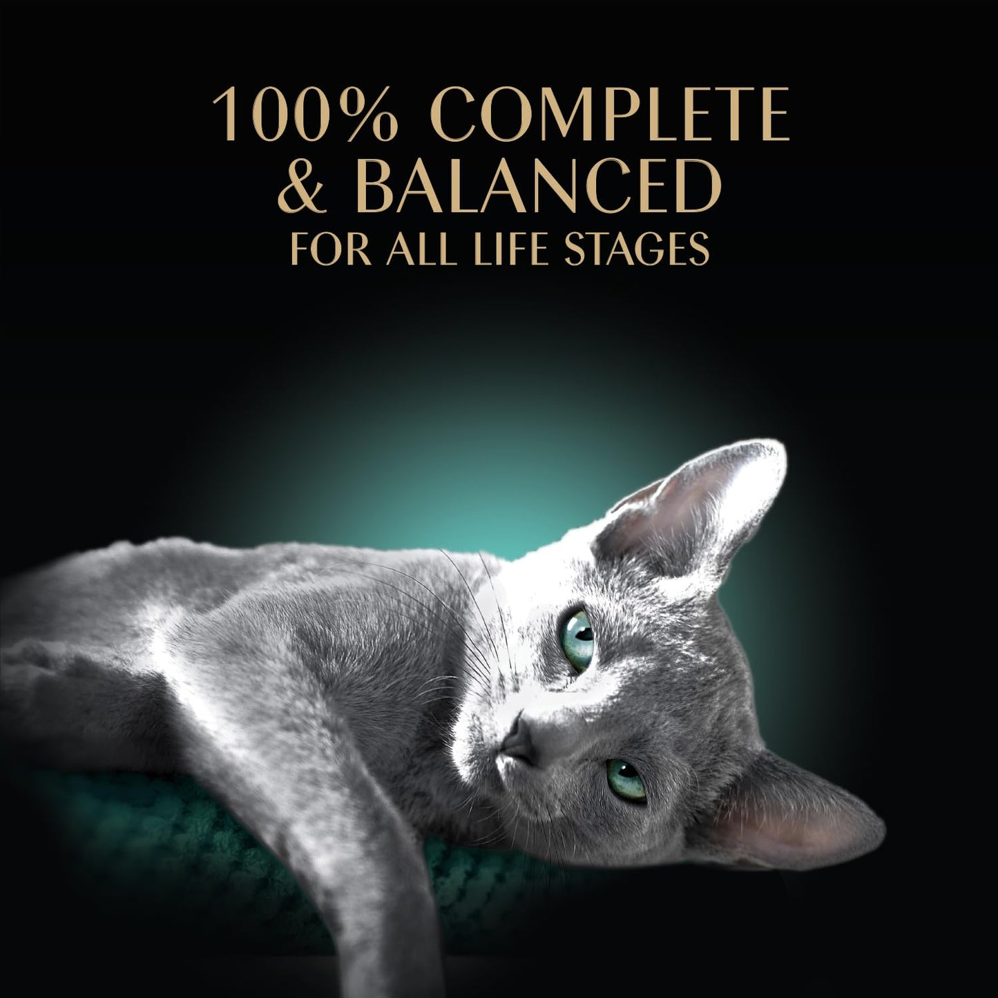 Sheba porciones Cortes en Gravy para entrantes húmedo Cat Food