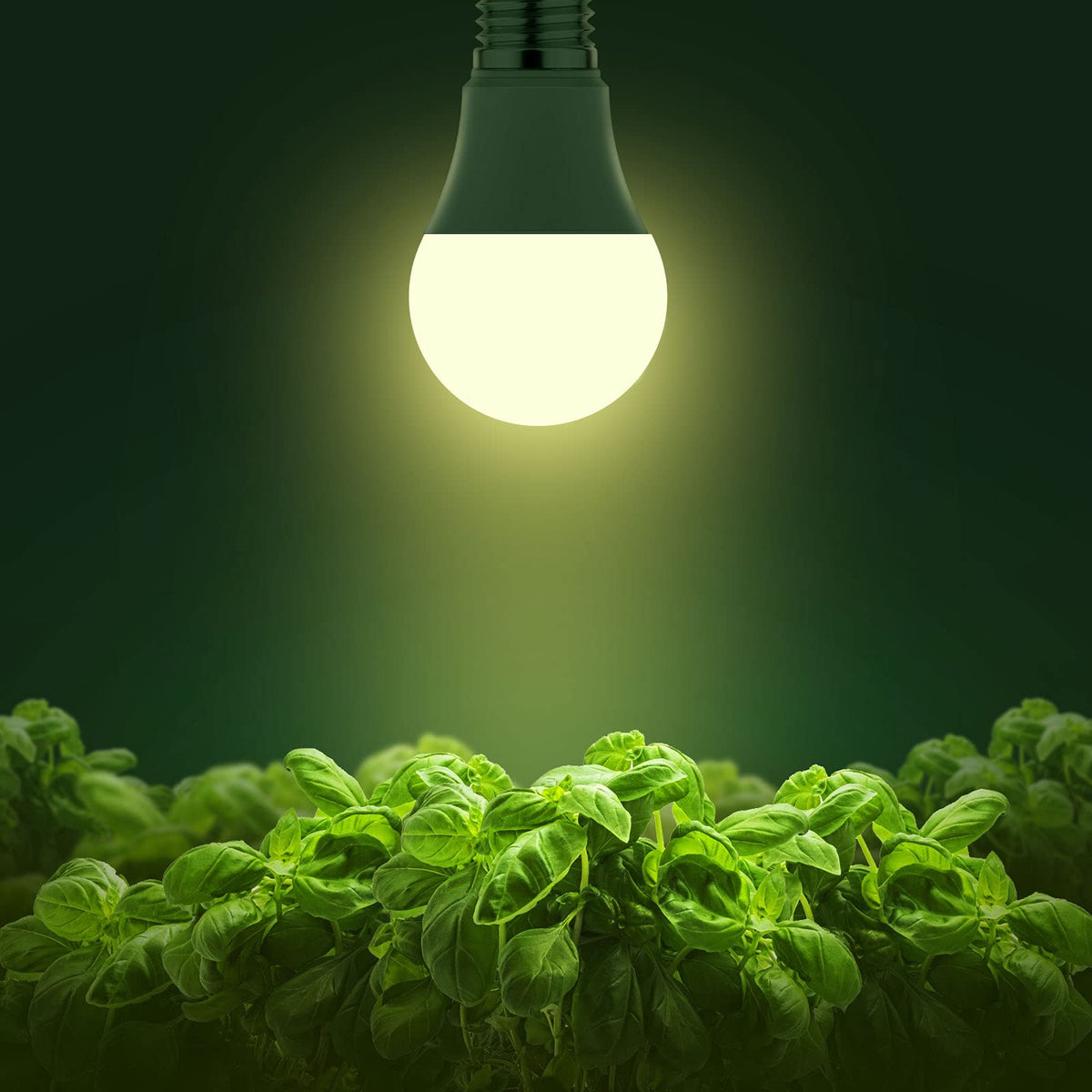Briignite Crescere lampadine, LED Grow Bulb A19 Bulb, Full Spectrum G