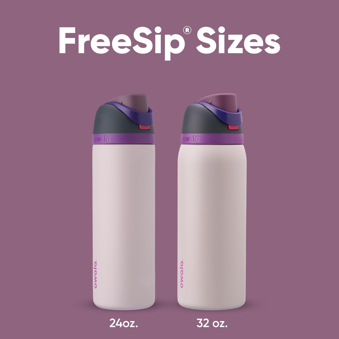 Owala FreeSip botella agua acero inoxidable con pajita, 710 ml - Botella térmica a prueba de fugas para el deporte y los viajes, sin BPA, Dreamy Field