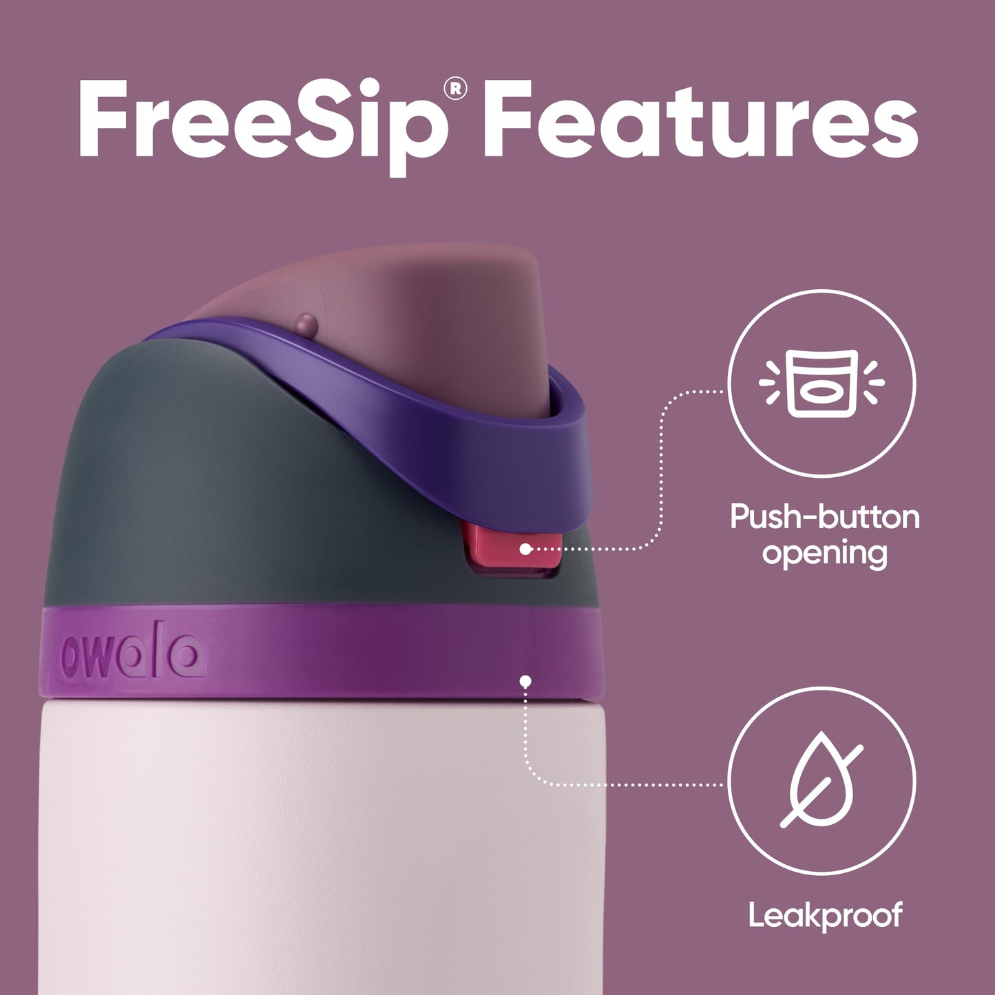 Owala FreeSip botella agua acero inoxidable con pajita, 710 ml - Botella térmica a prueba de fugas para el deporte y los viajes, sin BPA, Dreamy Field