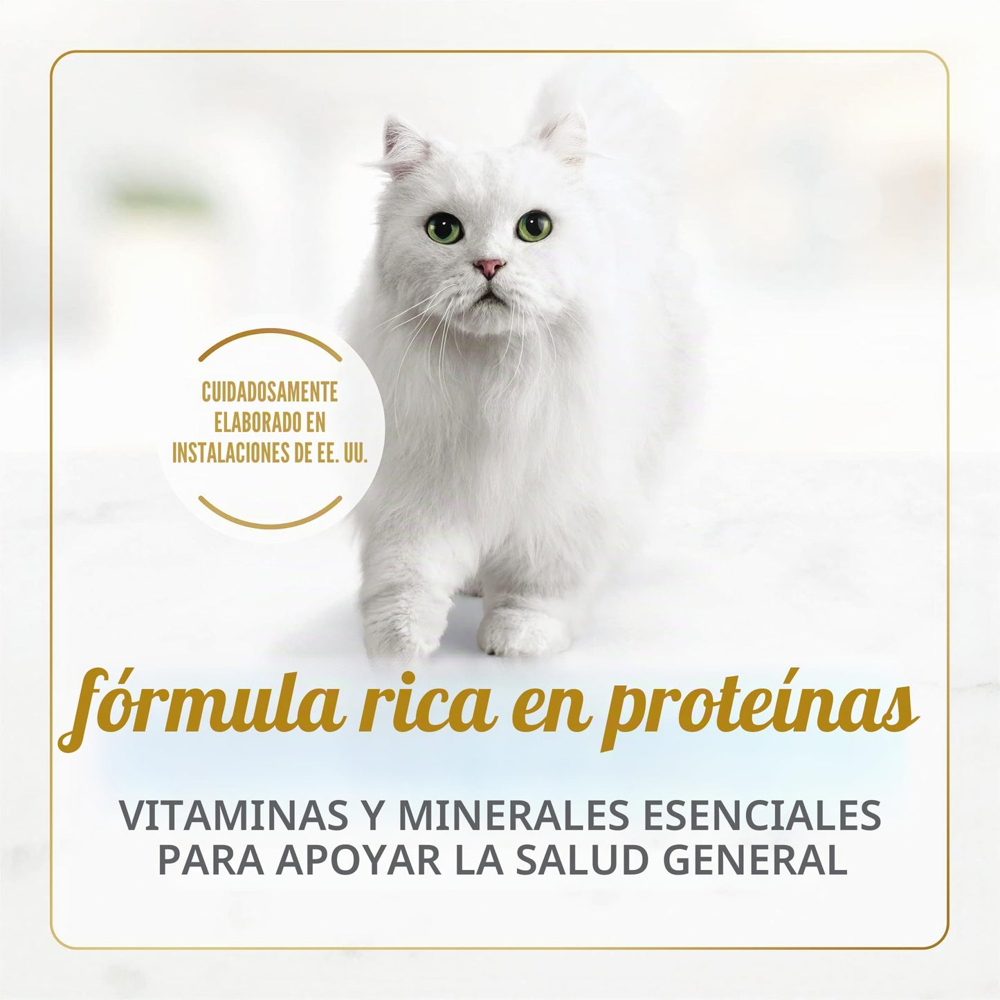 Purina Fancy Feast Comida para Gatos con Salsa