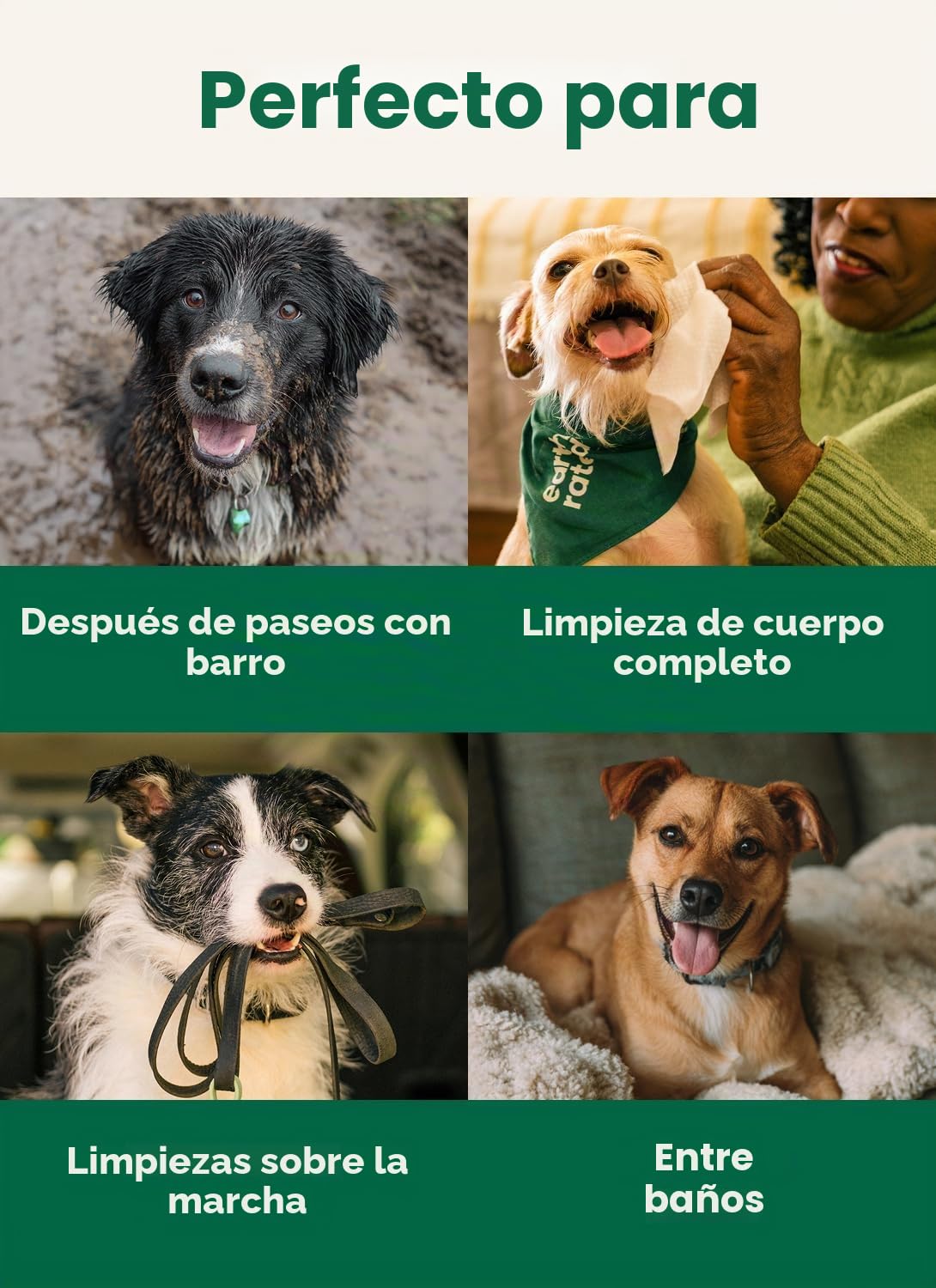 Earth Rated Toallitas hipoalergénicas para Perros, para Limpiar y Eliminar olores de Patas, Cuerpo y Trasero, Cachorros y Perros Adultos, sin Aroma, 100 Unidades