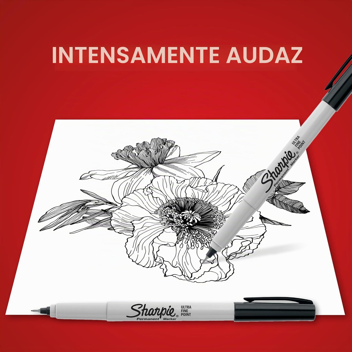 Permanent Marker, Ultra-Fine, Black Ink, Sold as 1 Dozen