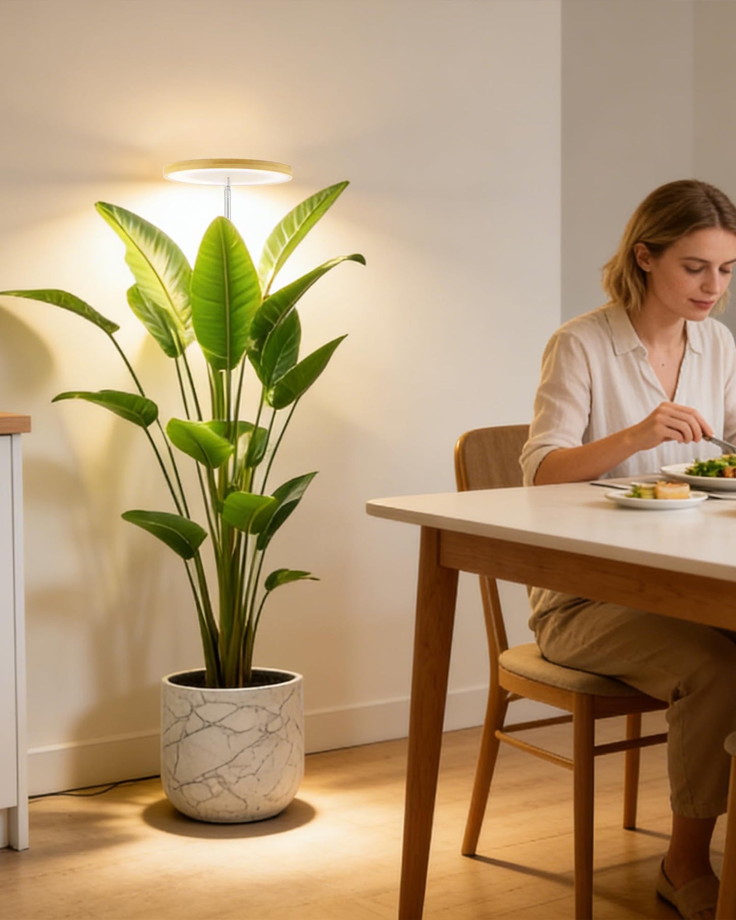 yadoker - Luz de crecimiento de plantas, luz LED de crecimiento de espectro completo para plantas de interior, altura ajustable, temporizador automático, bajo voltaje seguro de 5 V, ideal para luces