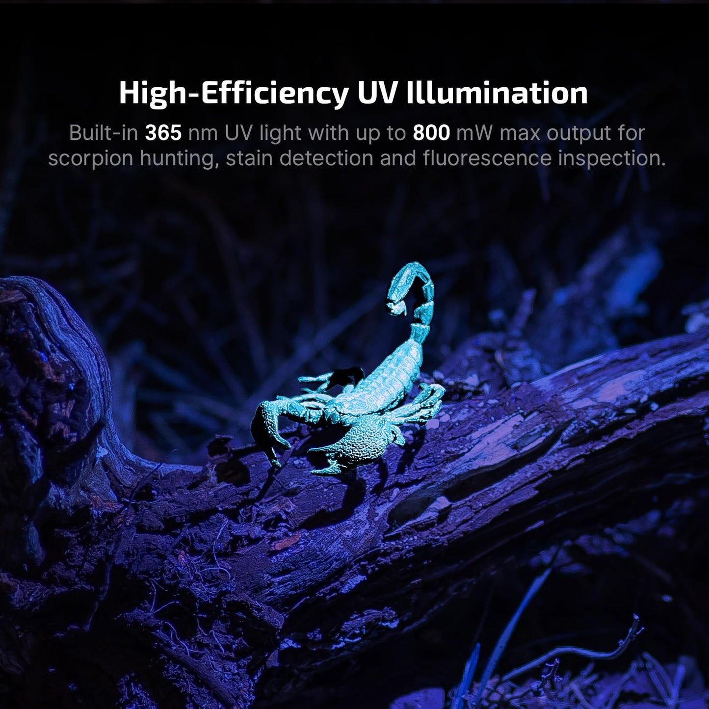 OLIGHT Oclip Pro S EDC - Linterna con clip, 600 lúmenes tipo C recargable con LED blanco, UV y RGB, luces de flash magnéticas para trabajo, señalización, inspección y uso al aire libre (negro)