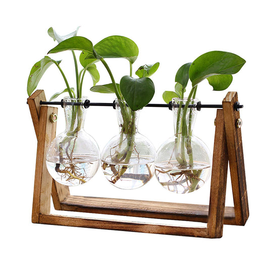 Terrario decorativo XXXFLOWER con soporte de madera y 3 jarrones