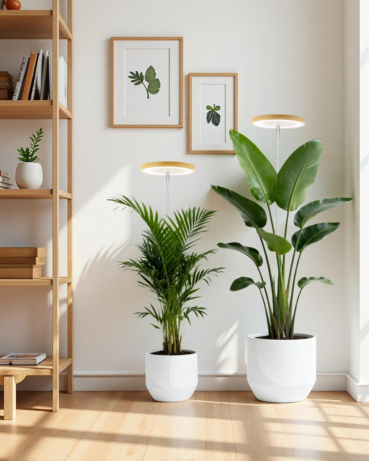 yadoker - Luz de crecimiento de plantas, luz LED de crecimiento de espectro completo para plantas de interior, altura ajustable, temporizador automático, bajo voltaje seguro de 5 V, ideal para luces