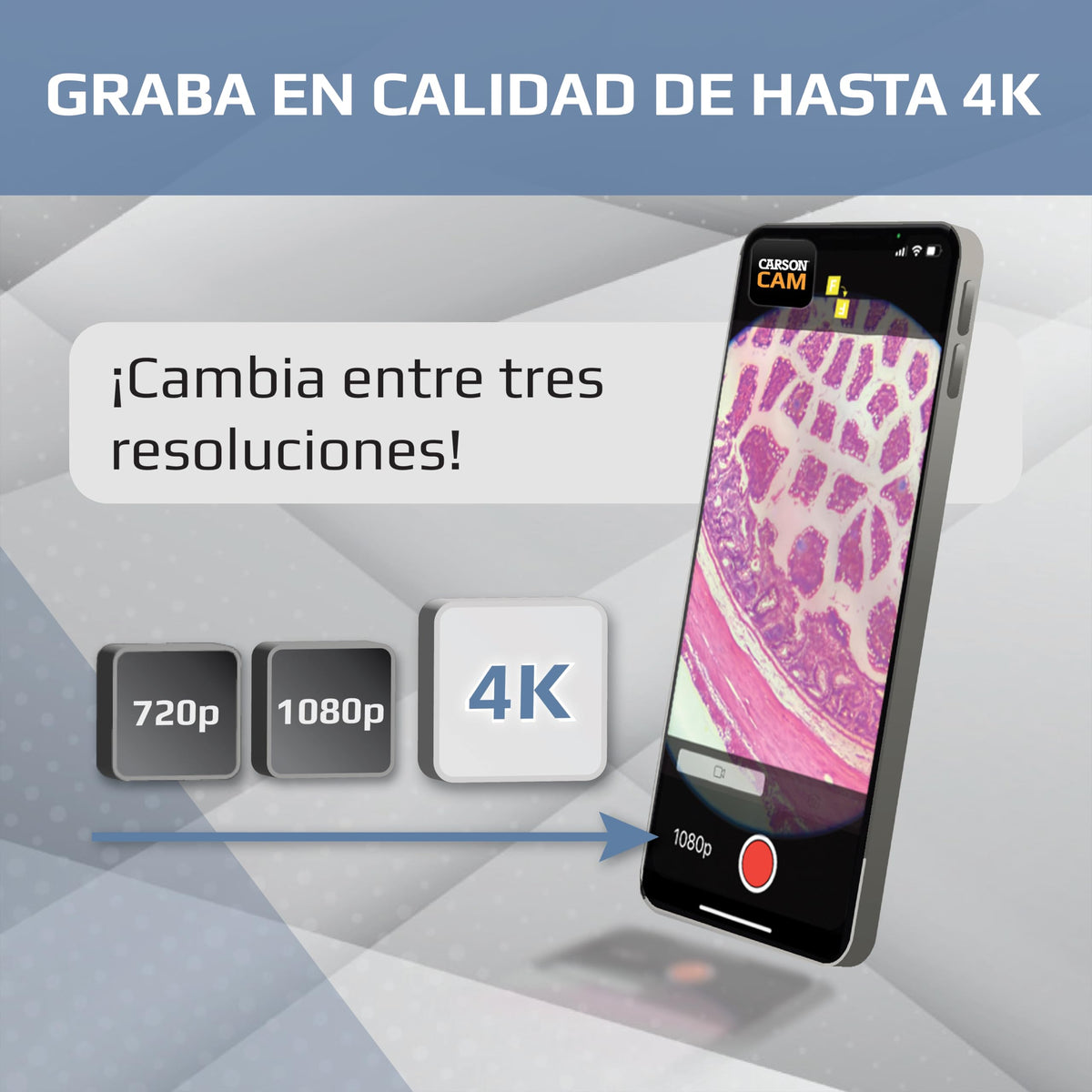 Carson MicroBrite Pro - Microscopio de Bolsillo con luz LED 60x-120x con Sistema de Lente asférica y Clip Digital para Smartphone (MM-350)