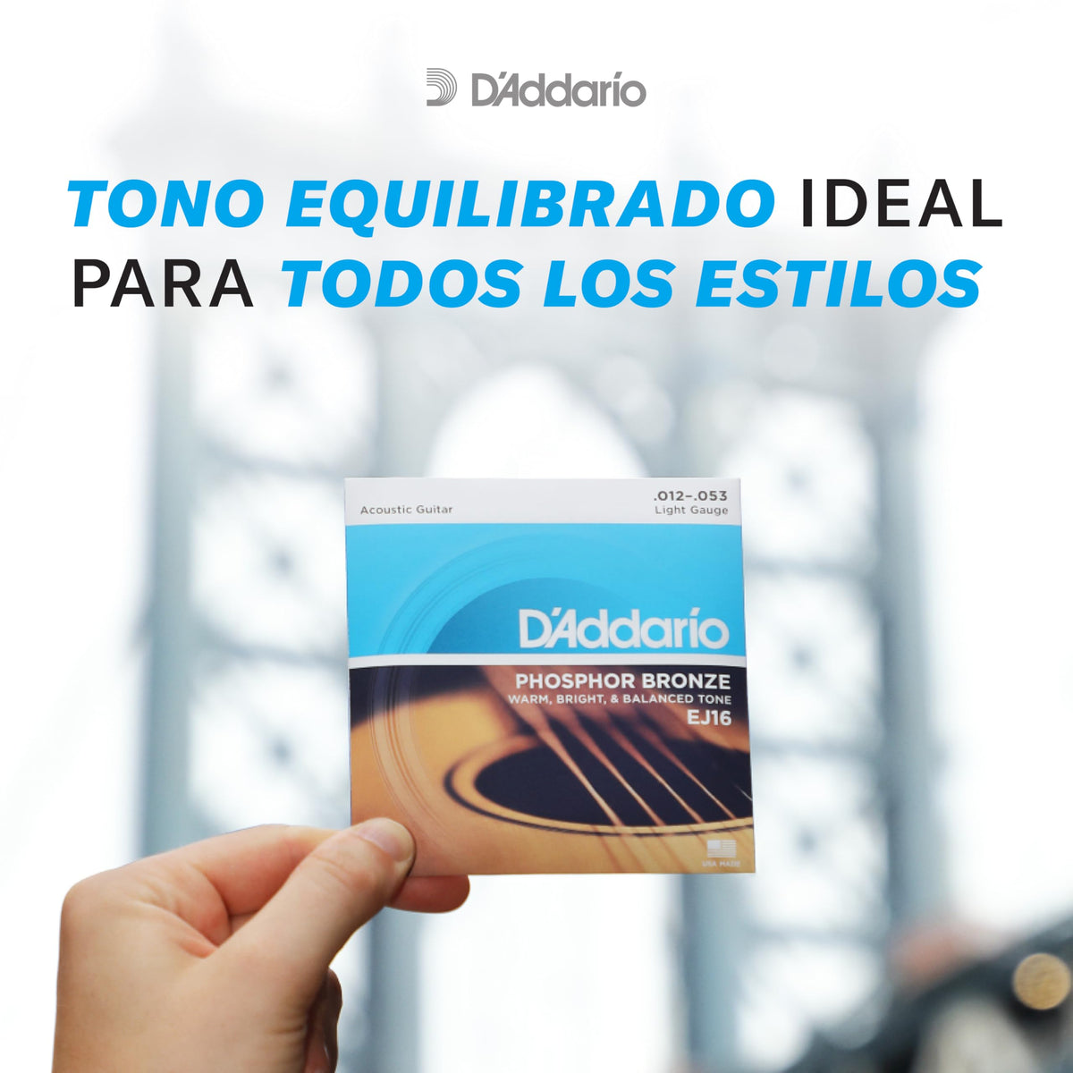 D'Addario Cuerdas Guitarra Acustica - Cuerdas de Guitarra - Cuerdas de Guitarra Acustica - EJ16 - Extra Ligero, 12-53 - 1-Paquete, 1-Pack, Light, 12-53