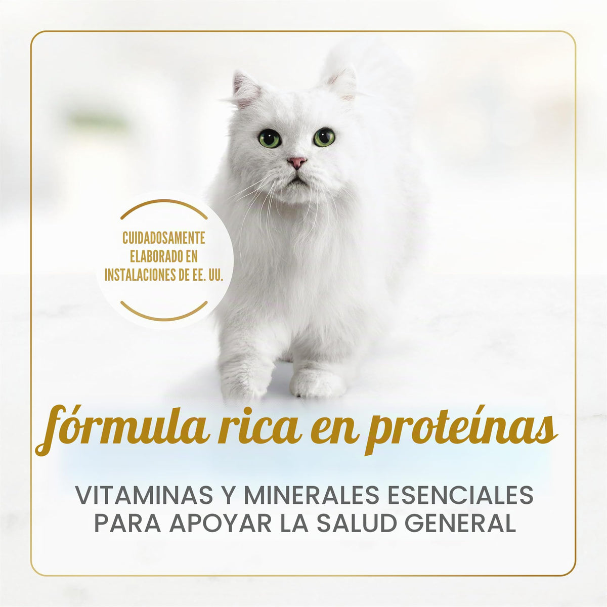 Purina Fancy Fiesta Medleys Toscana colección Gourmet húmedo Cat Food Variety Pack- (24) 90 ml latas