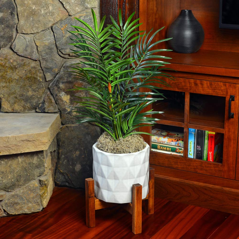 Mosser Lee ML0560 - Musgo español, 250 CU. In.