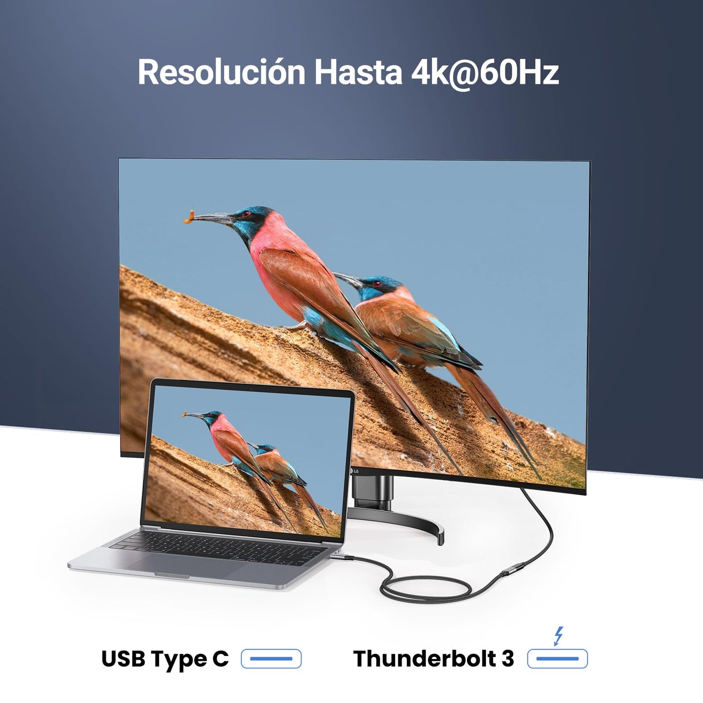 UGREEN Nexode Cable de Extensión USB C 3.2 Gen 2 10Gbps Vídeo 4K@60Hz 100W