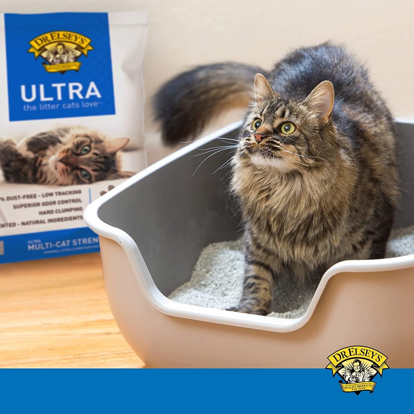 Precioso Gato Ultra Premium agrupamiento Cat Litter