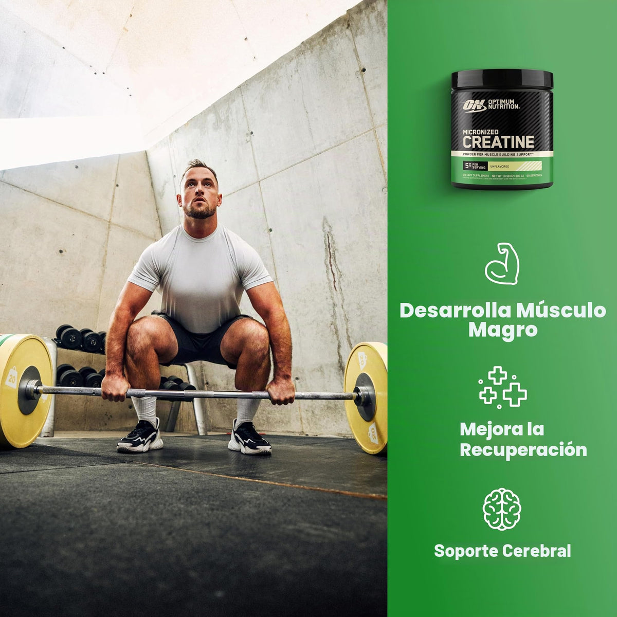 Optimum Nutrition Micronized Polvo Creatina Monohidrato sin Sabor - 317 gr