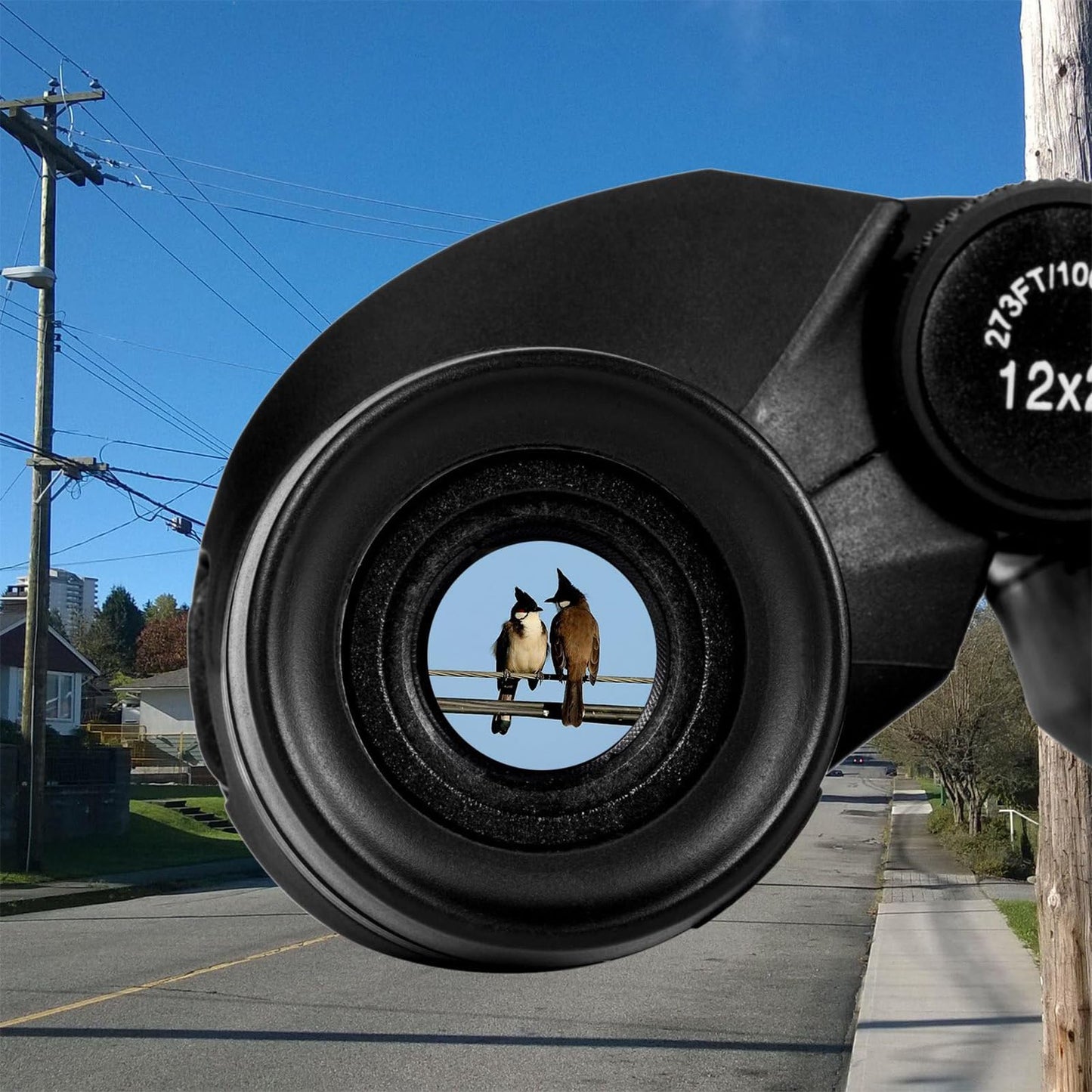 Prismáticos compactos de 12 x 25 Pulgadas con visión Nocturna con Poca luz, Gran Ocular Impermeable para Adultos y niños, prismáticos de Alta Potencia de fácil Enfoque para observación de Aves, Caza
