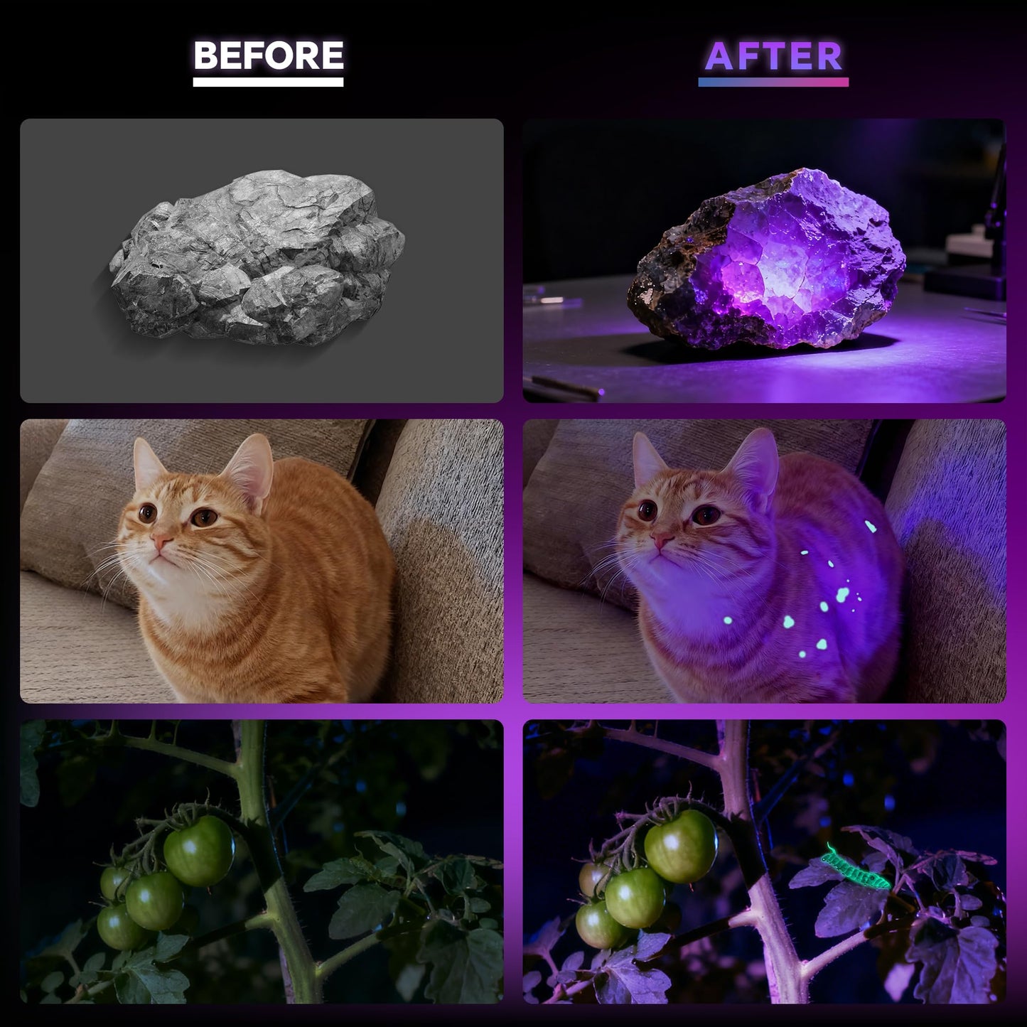 Dokhbem - Linterna de luz negra, 365 nm recargable con visualización LCD, potentes luces ultravioleta para detección de orina de mascotas, curado de resina, seguimiento de sangre, escorpión, vidrio de