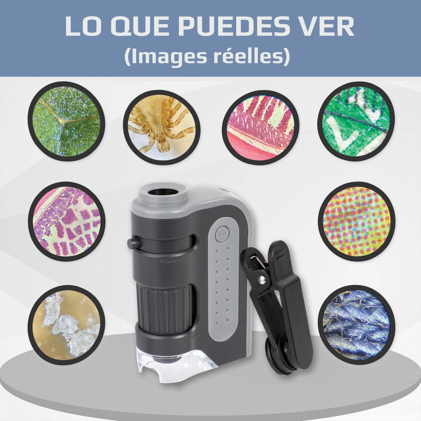 Carson MicroBrite Pro - Microscopio de Bolsillo con luz LED 60x-120x con Sistema de Lente asférica y Clip Digital para Smartphone (MM-350)