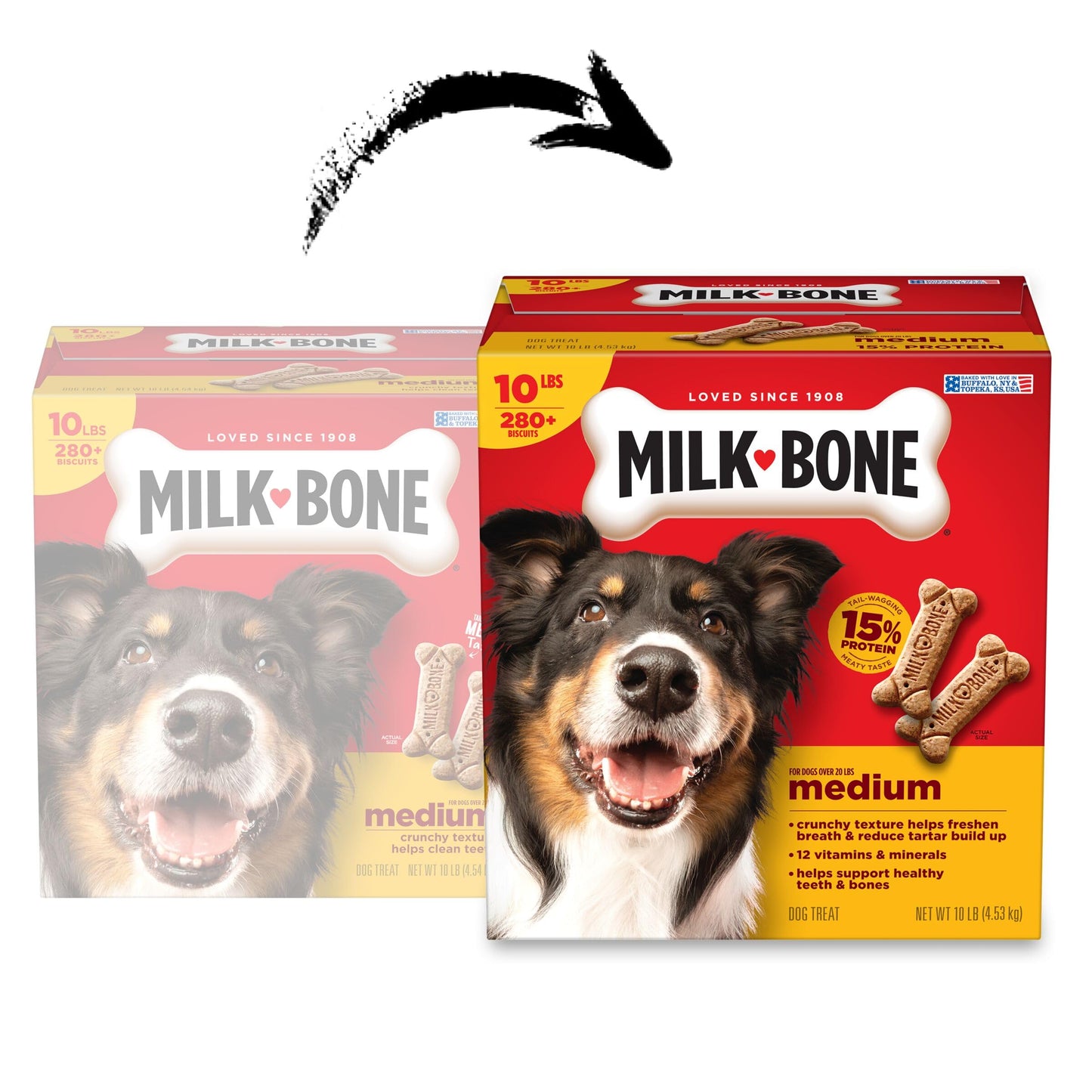 Galletas de Hueso de Leche para Perros de tamaño Mediano, Caja de 10 Libras