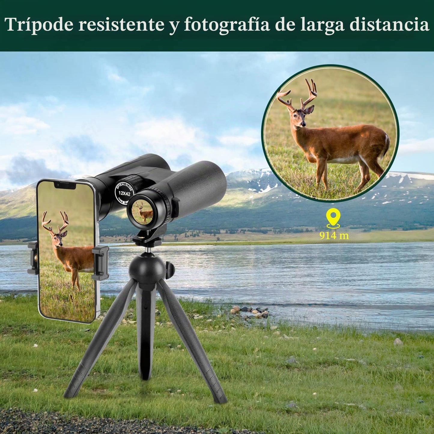 Prismáticos compactos de 12 x 42 Pulgadas para Adultos, prismáticos HD de Alta Potencia para observación de Aves, Caza, conciertos y Deportes