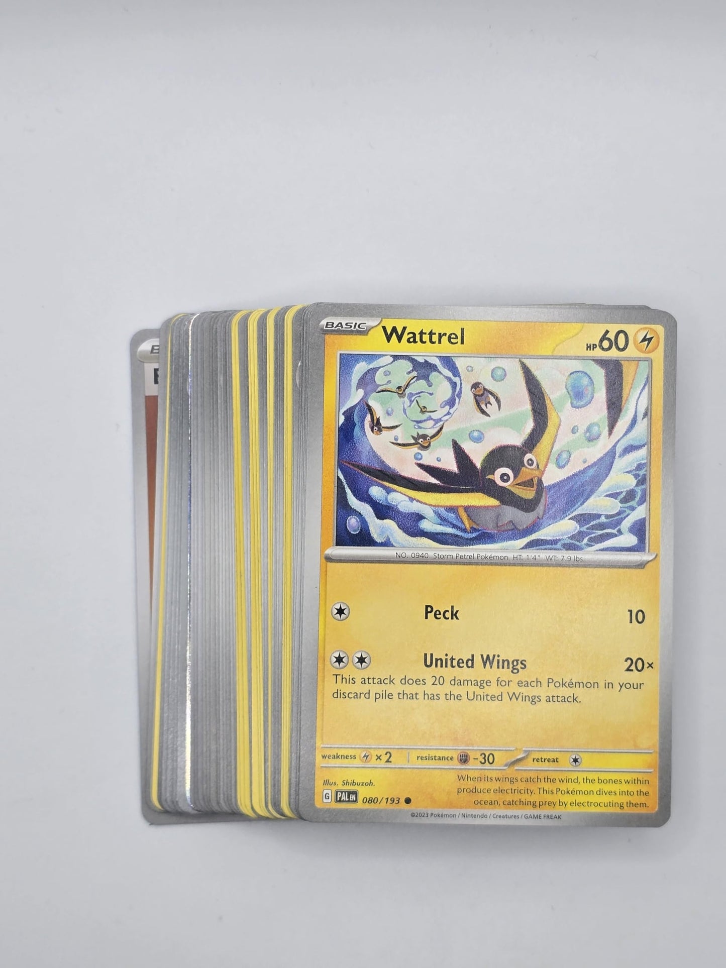 Pokemon – 50 Cartas Surtidas, Juguete