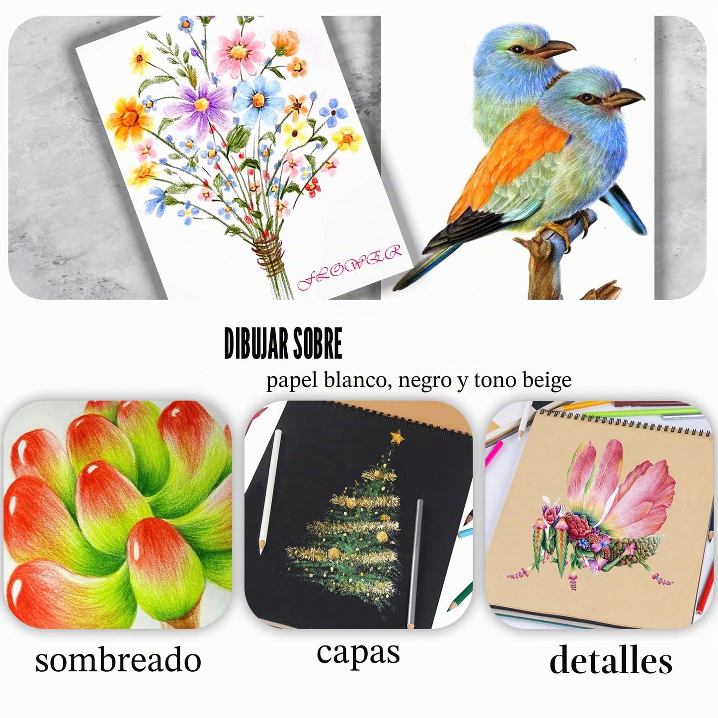 KALOUR set de 72 lápices de colores, ideal para adultos y jóvenes principiantes. Mina suave perfecta para dibujar, mezclar y sombrear. Regalo ideal.