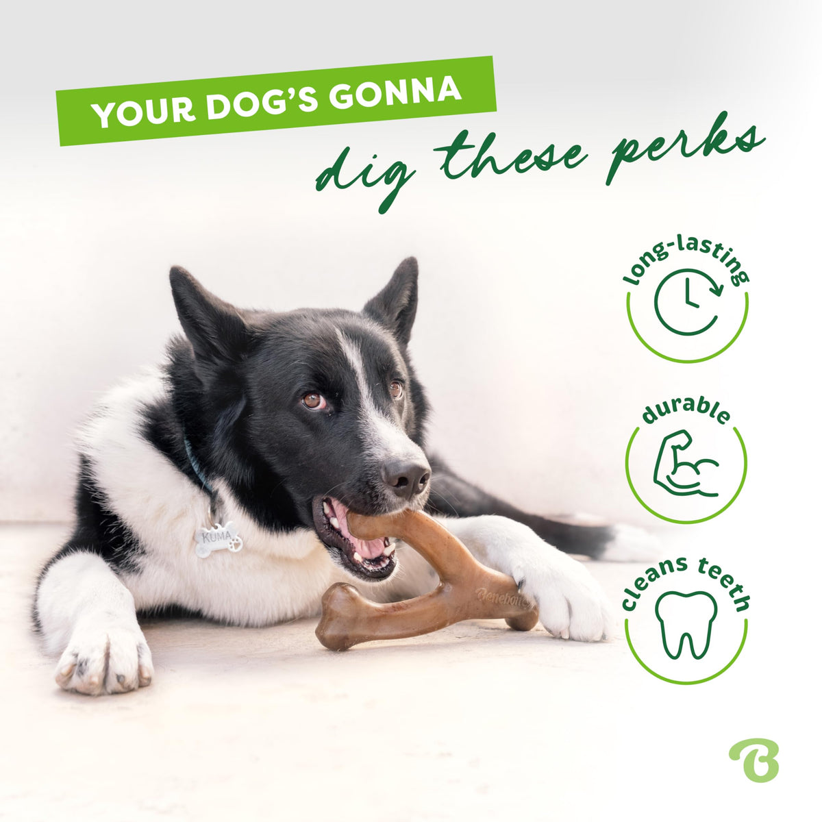 Wishbone de Benebone, un juguete para morder, con auténtico beicon mediano, resistente e indicado para perros masticadores agresivos, fabricado en EE. UU.