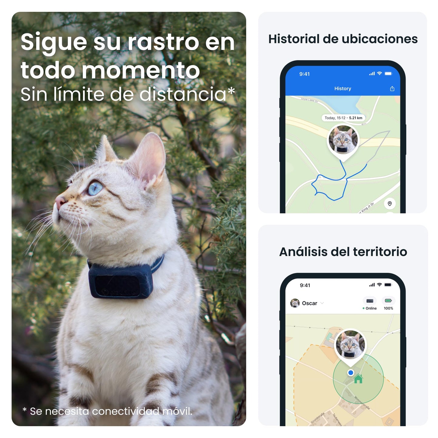 Tractive - Collar gato GPS Mini, Localización en tiempo real, Historial de ubicaciones, Avisos de salud, Monitor de actividad, Collar incluido