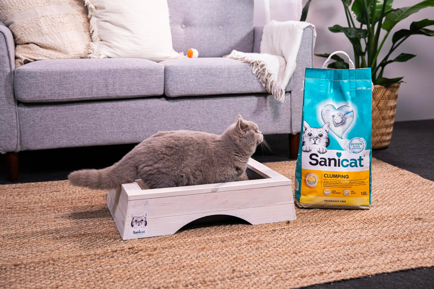 Sanicat - Arena para Gatos Aglomerante Sin perfume | Hecha de minerales naturales con control de olor garantizado | Absorbe la humedad y facilita la limpieza | 10 L de capacidad, Packaging May Vary