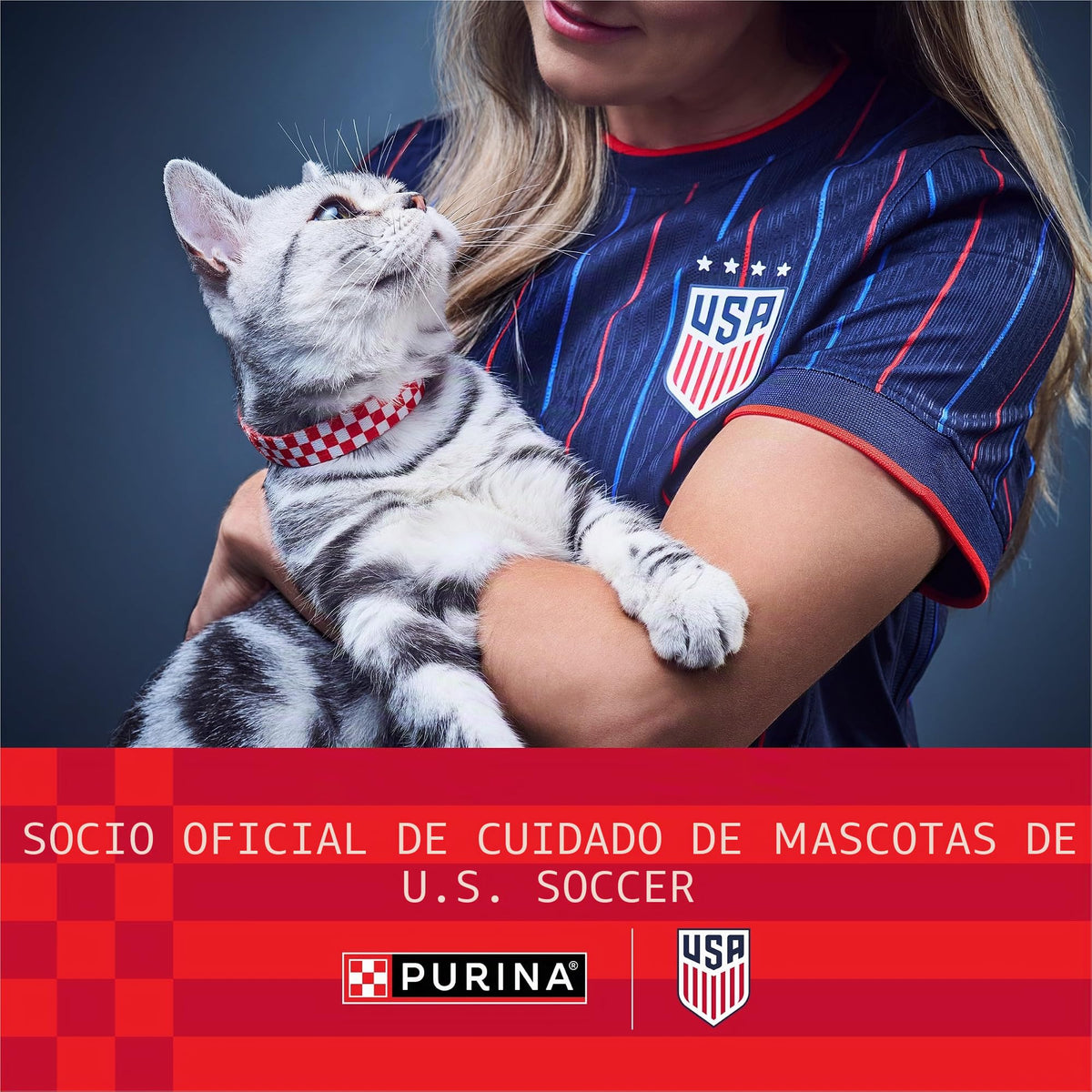 Purina Fancy Fiesta Medleys Toscana colección Gourmet húmedo Cat Food Variety Pack- (24) 90 ml latas
