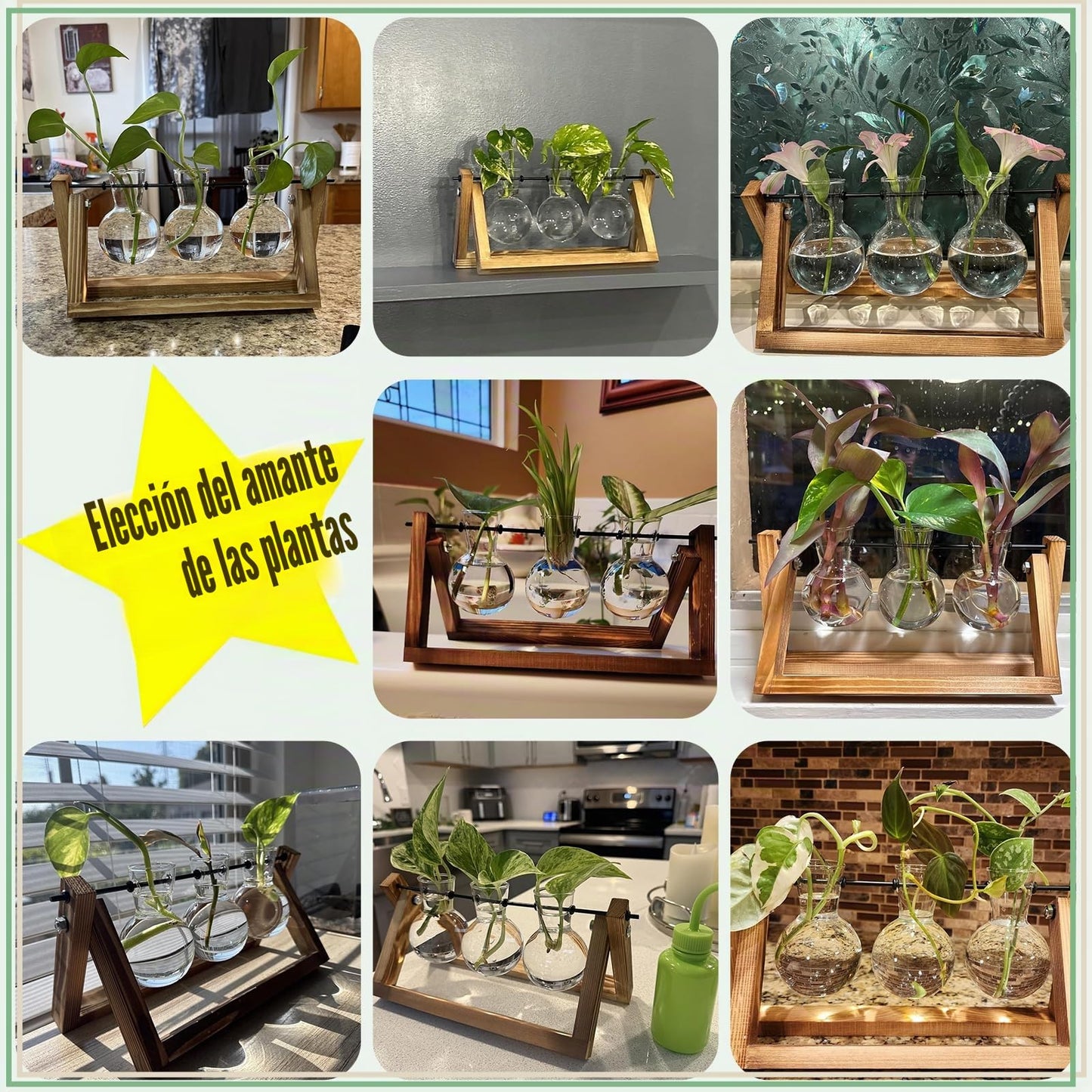 Terrario decorativo XXXFLOWER con soporte de madera y 3 jarrones