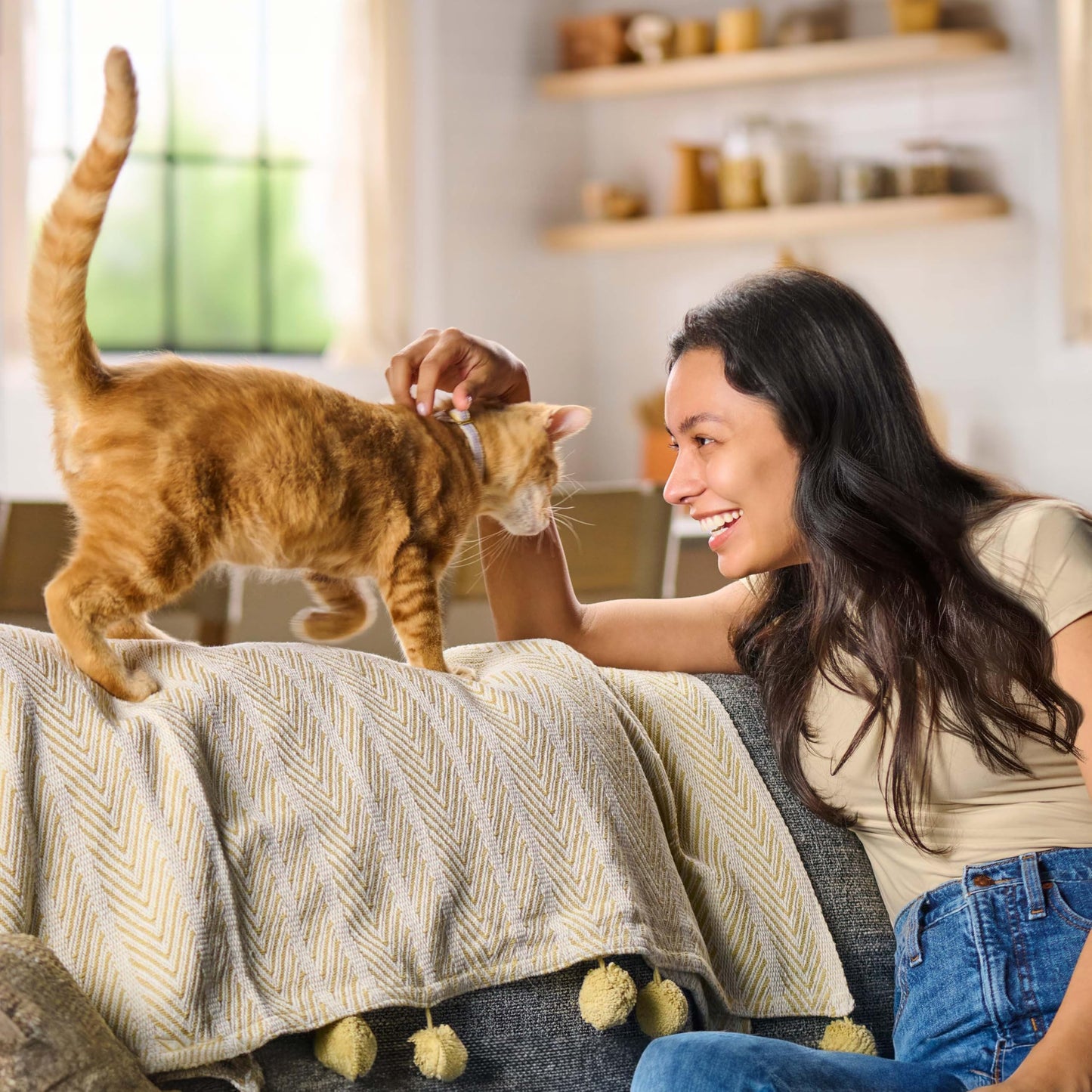 Meow Mix Original Choice - Alimento seco para Gatos, Bolsa de 6.5 Libras