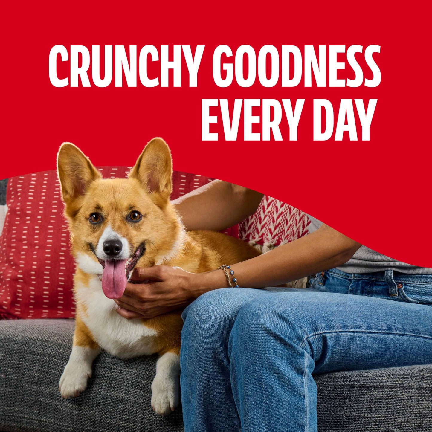 Milk-Bone Mini's Flavor Snacks - Golosinas para Perros, 36 onzas