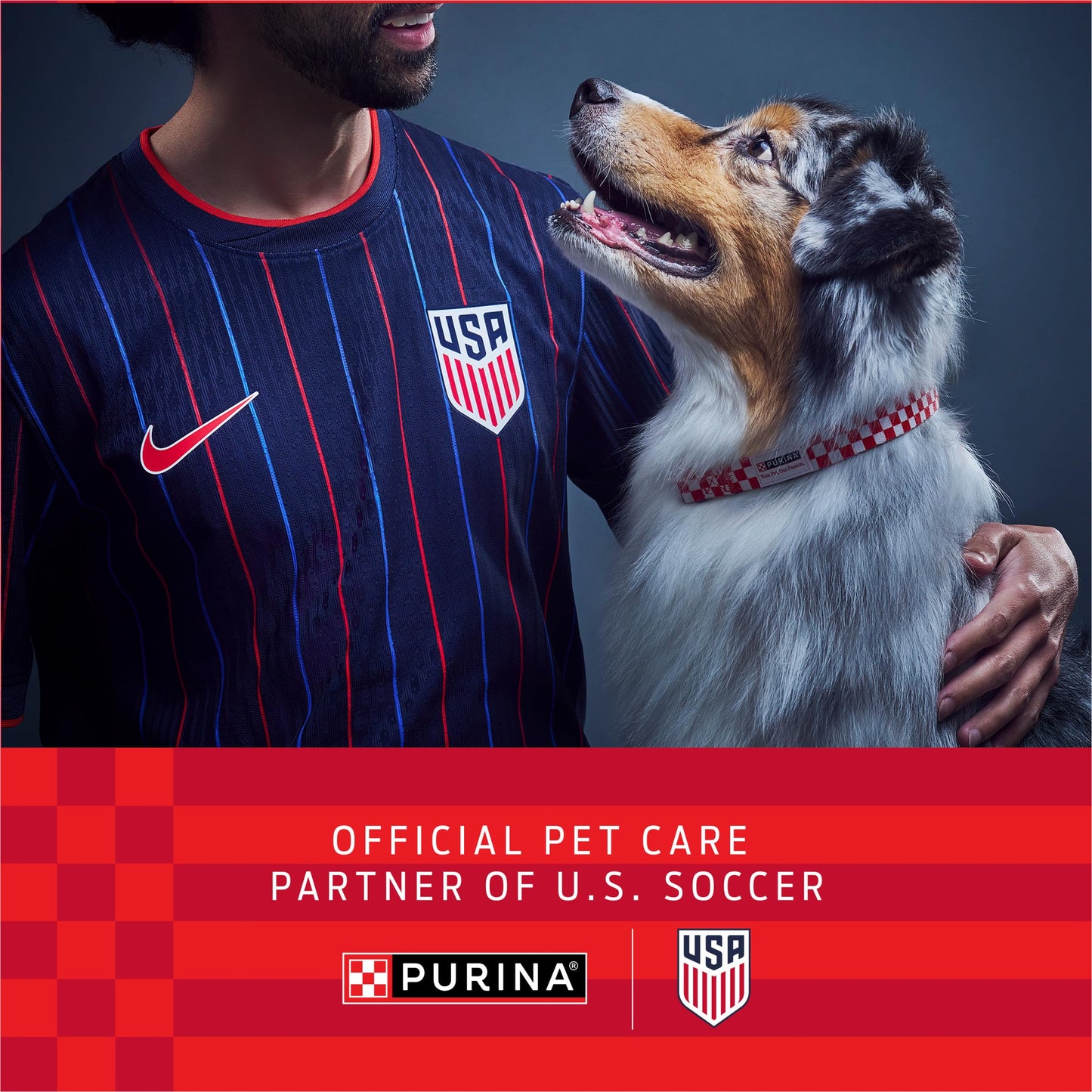 Purina - FortiFlora Canine Veterinary Diet, 30 Sobres por Caja