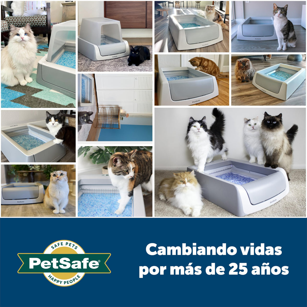 PetSafe ScoopFree Arena de Cristal para Gatos (Pack de 2)