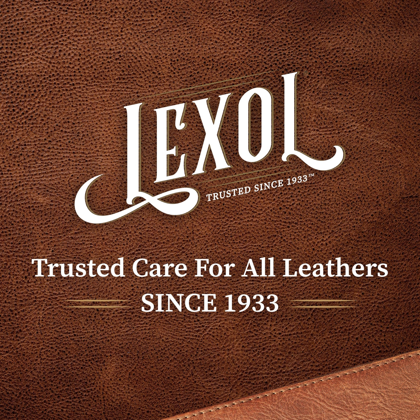 Lexol Acondicionador de Cuero, 16.9 onzas, Spray de gatillo -LXBCD16