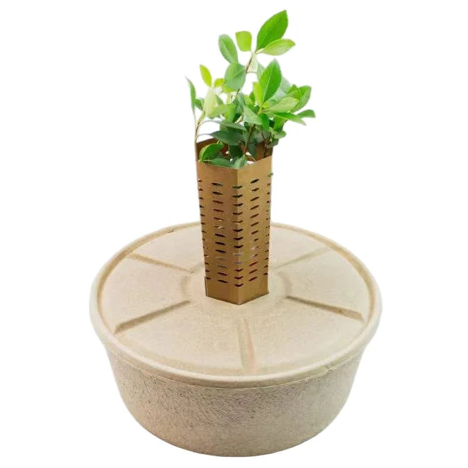 Eco-Friendly Paper Pulp Tree Watering Basin Biodegradable Garden Protector for Seedling Growth Irrigation with Cover