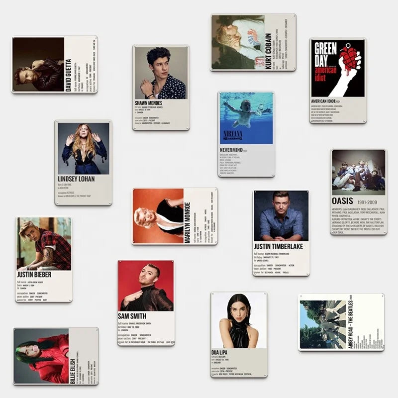 Personalized Metal Tin Signs Customized  20*30 cm Singers Posters Tin Signs