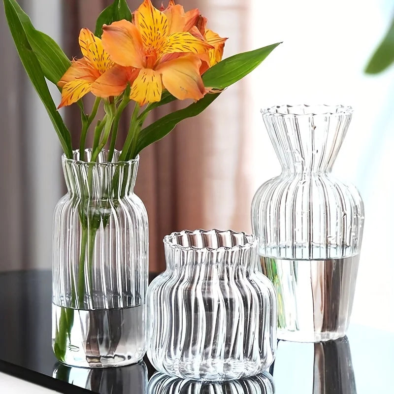 Modern Nordic Transparent Hydroponic Striped Glass Vase for Fresh Dried Flowers for Living Room Decoration with Insert Orname