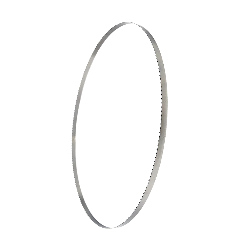 Bone Saw Blades Salvadore 1650 mm Poultry Pork Beef Meat and Bone Fast Cutting Butcher Band Saw Blade for Machine MADE in ITA