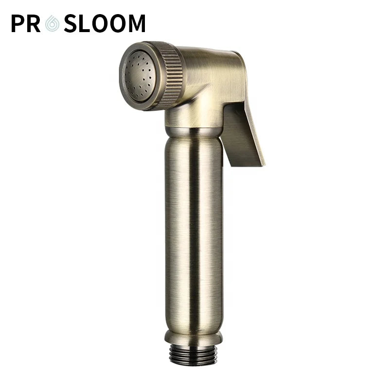 Brass Modern Hotel Bidet Sprayer with Nozzle Self-cleaning for Toilet and Shower Room Shattaf Set