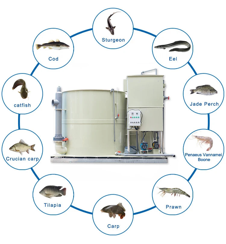 QihangRAS Aquaponics System for Fish and Vegetable Indoor Mini Ras Systems Fish Farming Aquaculture Equipment All in One