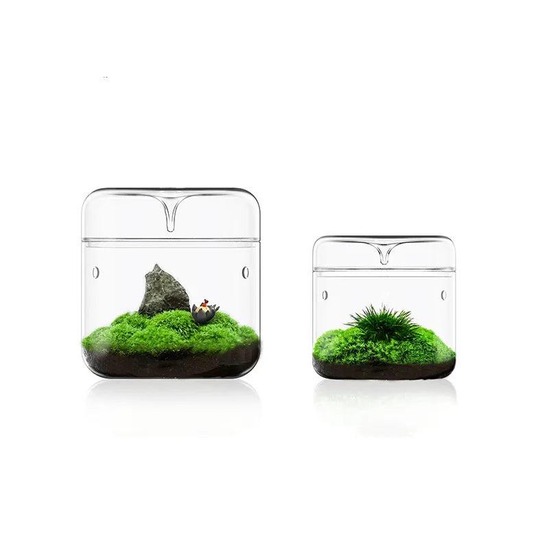 Cylinder Enclosed Capsule Glass Plant Terrarium with Lid Transparent Wedding Glass Vase Round Tabletop White / Kraft Box CN;H