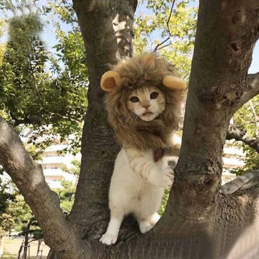 Holiday Dress up Cats and Dogs Universal Use Adjustable Cat Cap Autumn and Winter Lion Pet Cap