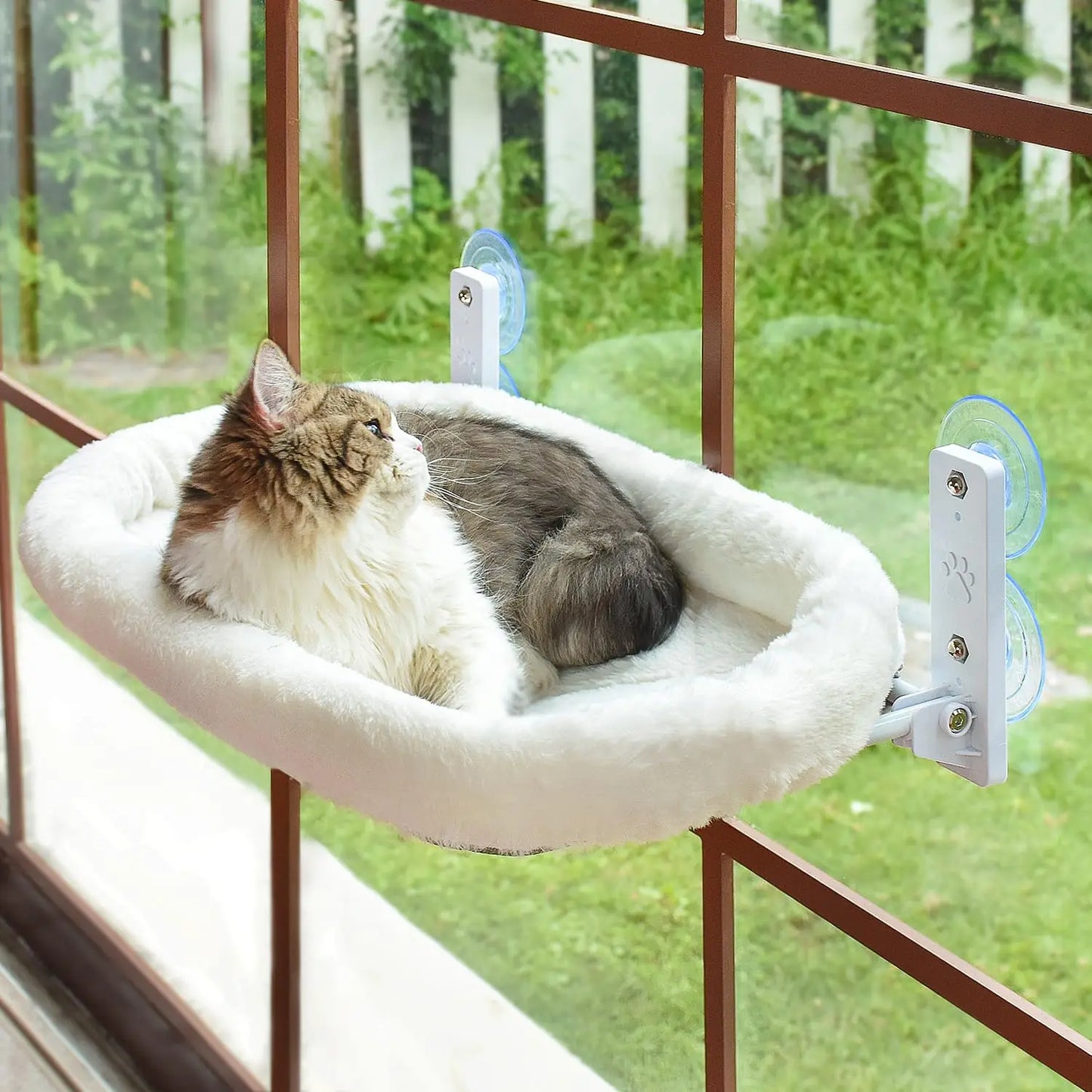 Wholesale Custom Cordless Cat Window Perch with Metal Frame and Soft Cover Cat Hammock with Print Pattern for Window Beds