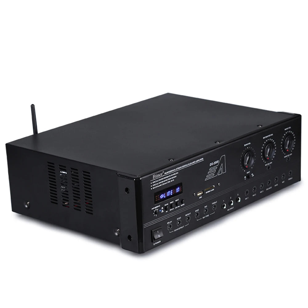 Biner  DS2000 200W*2  Audio Power Amplifier Professional Power Amplifier for Conference Home Theater