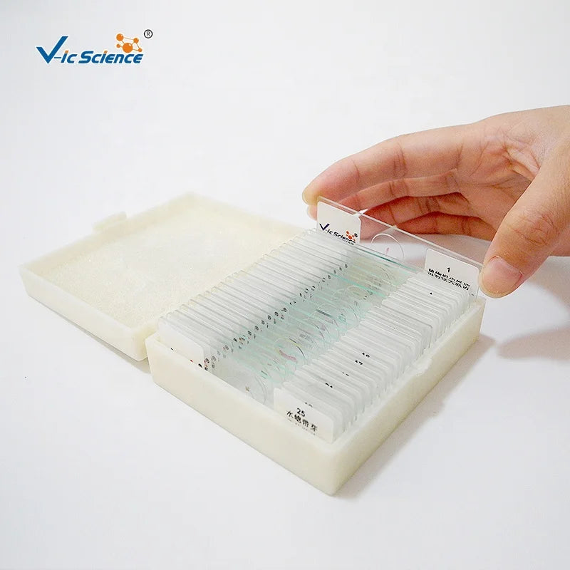 Plant Disease Prepared Microscope Slides Botany Pathology Teaching Slides for Agricultural College Lab Training CE/ISO/ROHS